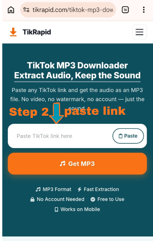 TikRapid result card showing MP3 Audio download button