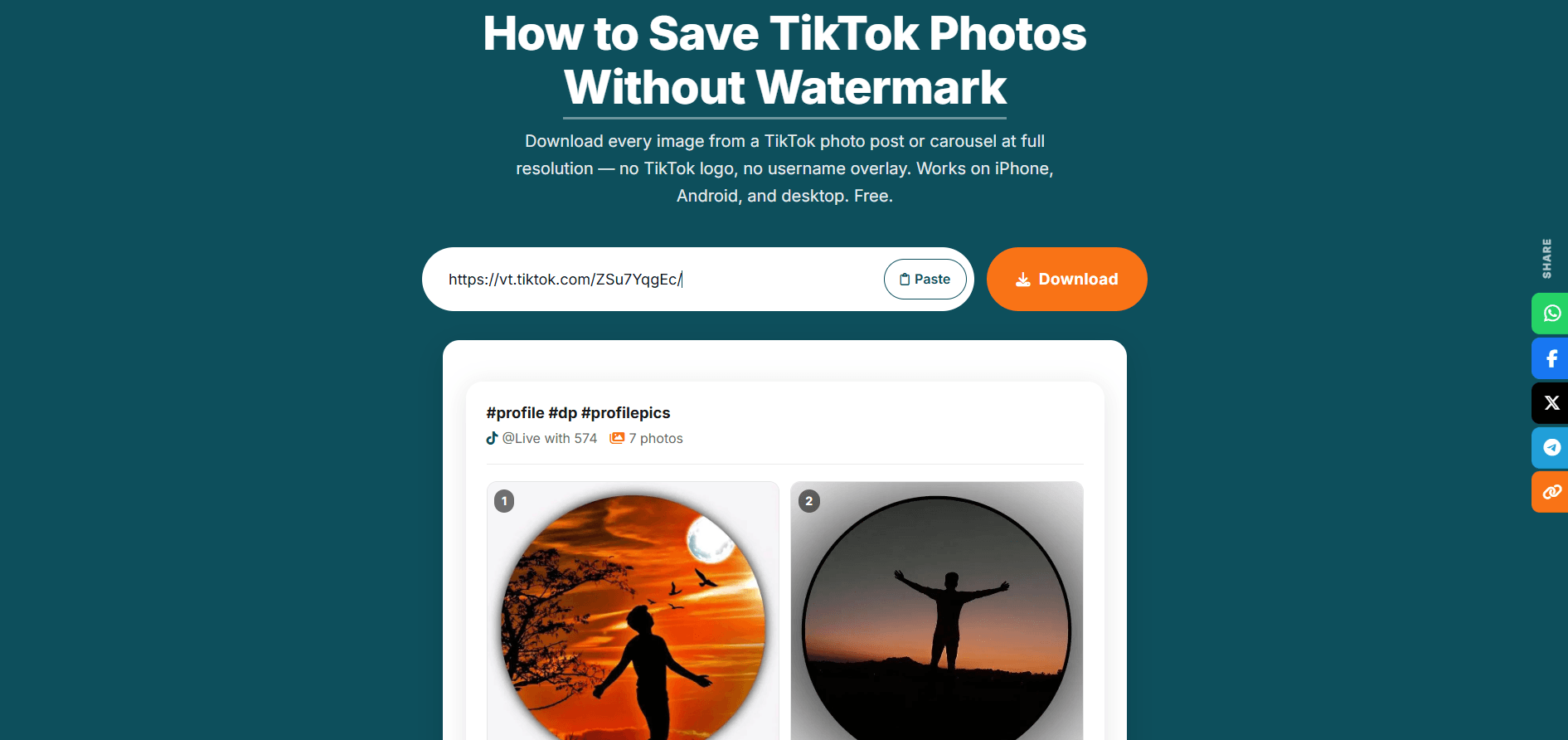 TikRapid showing TikTok photo post link pasted and images loading