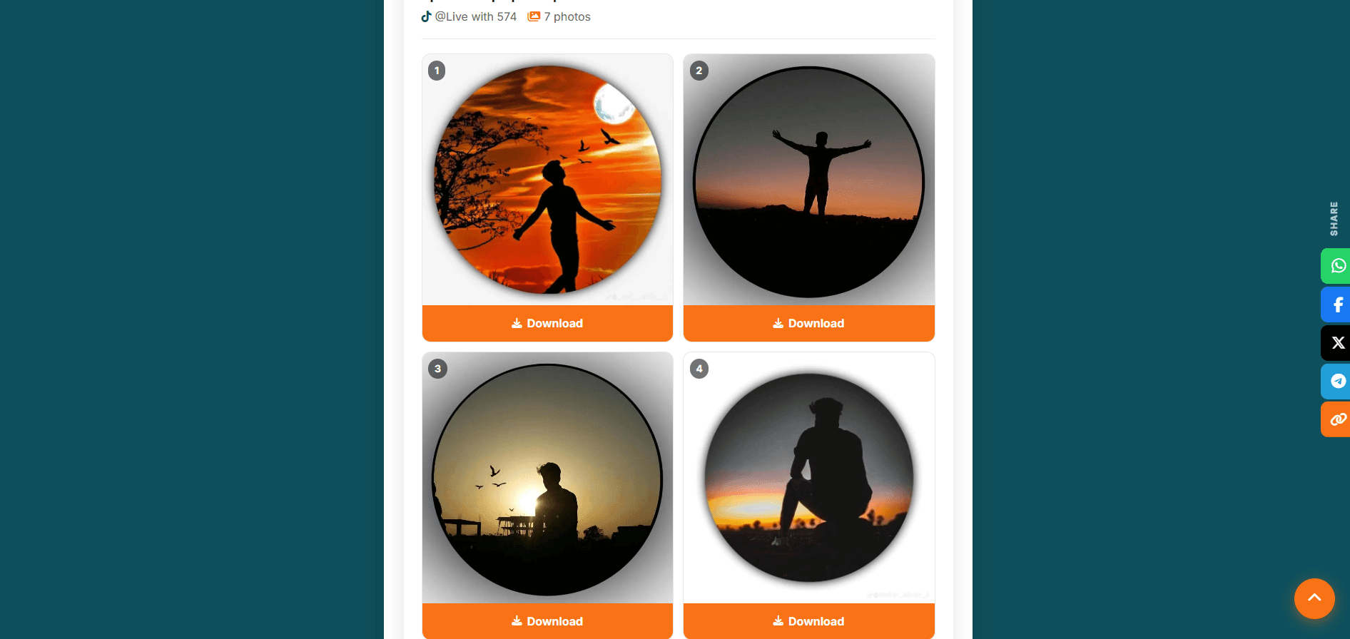 TikRapid photo carousel download result showing all images with Download buttons