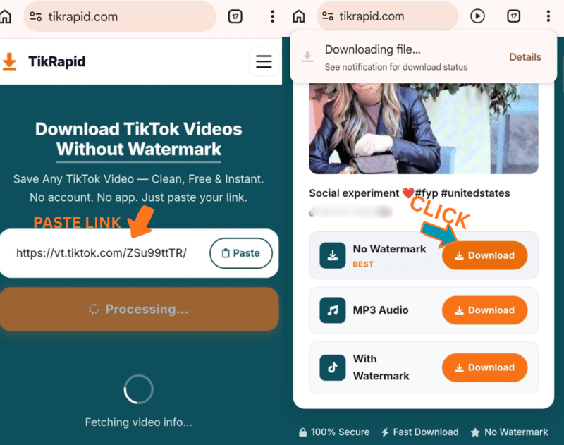 TikRapid showing paste link and No Watermark download button