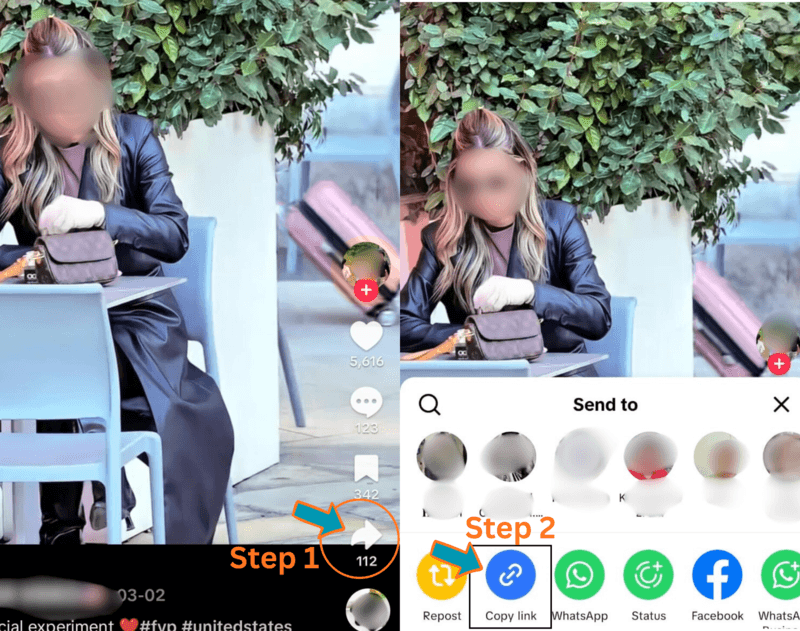 TikTok Share button and Copy Link option to get the video URL